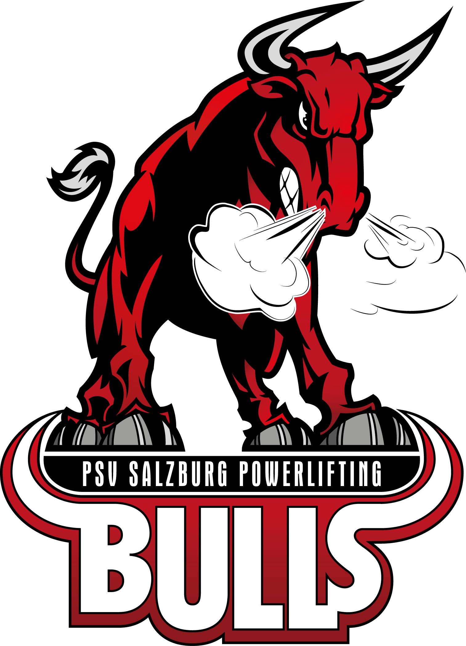 PSV Bulls